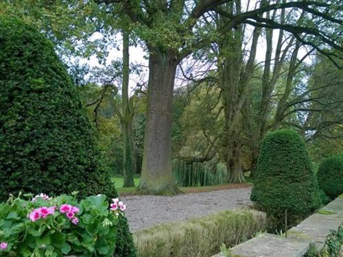 Le Chateau D'Osthoffen Exterior foto